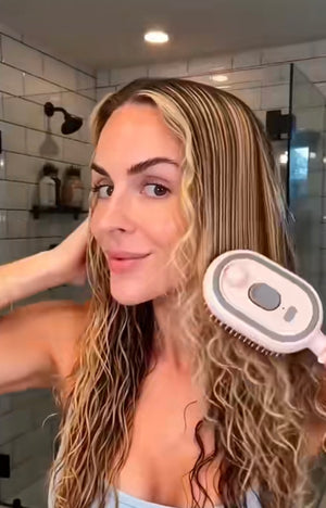 Steambrush Pro